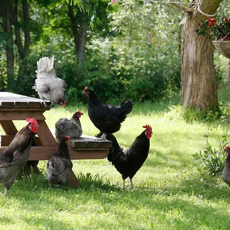 アパート Kuuksenkaari *