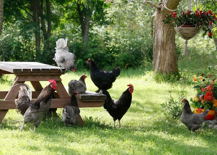 Lägenhet Kuuksenkaari *